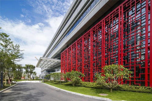 祝賀 最高榮譽花落廈門這家醫(yī)院