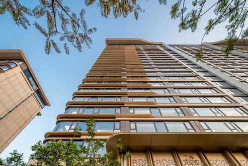 廈門 中駿 天盈 融合本土文化和設(shè)計美學(xué)的匠心之作鳳凰網(wǎng)山東 鳳凰網(wǎng)